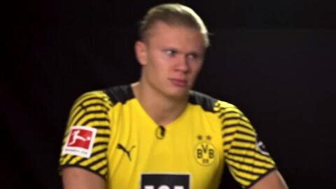 德甲战报：布兰特破门，施洛特贝克建功，多特2-0霍芬海姆